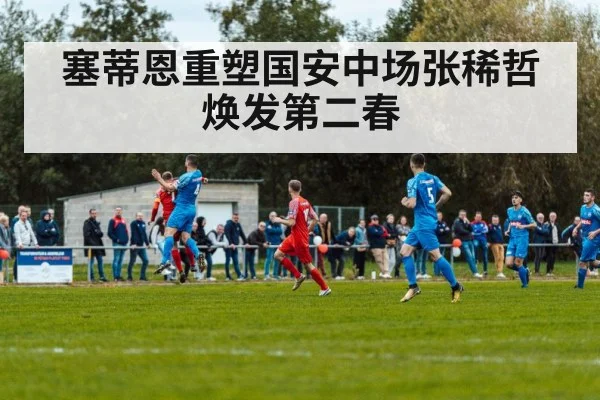 塞蒂恩重塑国安中场张稀哲焕发第二春